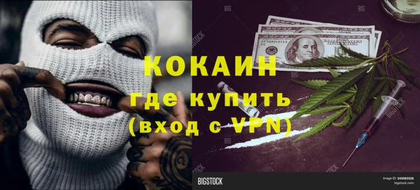 стафф Алексин